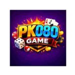 PK080 Game