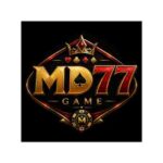 MD77 Game
