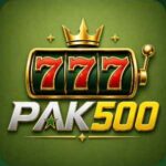 Pak500 Game