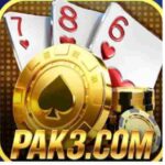 PAK3 Game