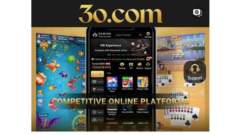 30.com Game