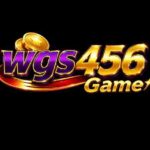 wgs456 Game